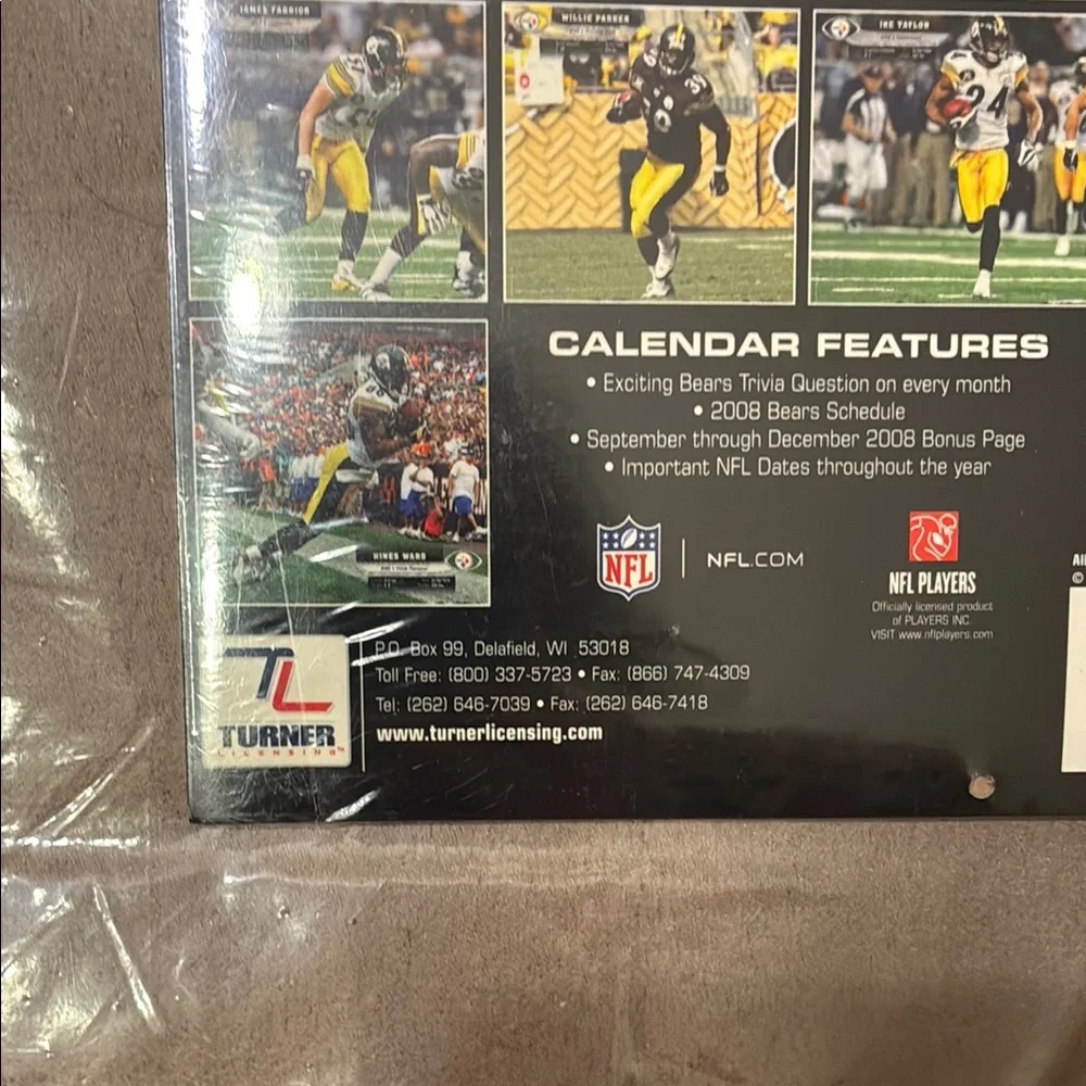 Pittsburgh Steelers 2009 Mini Calendar